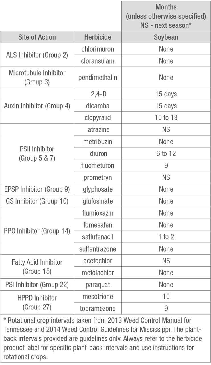 Herbicide Carryover and Crop Rotation to Soybean